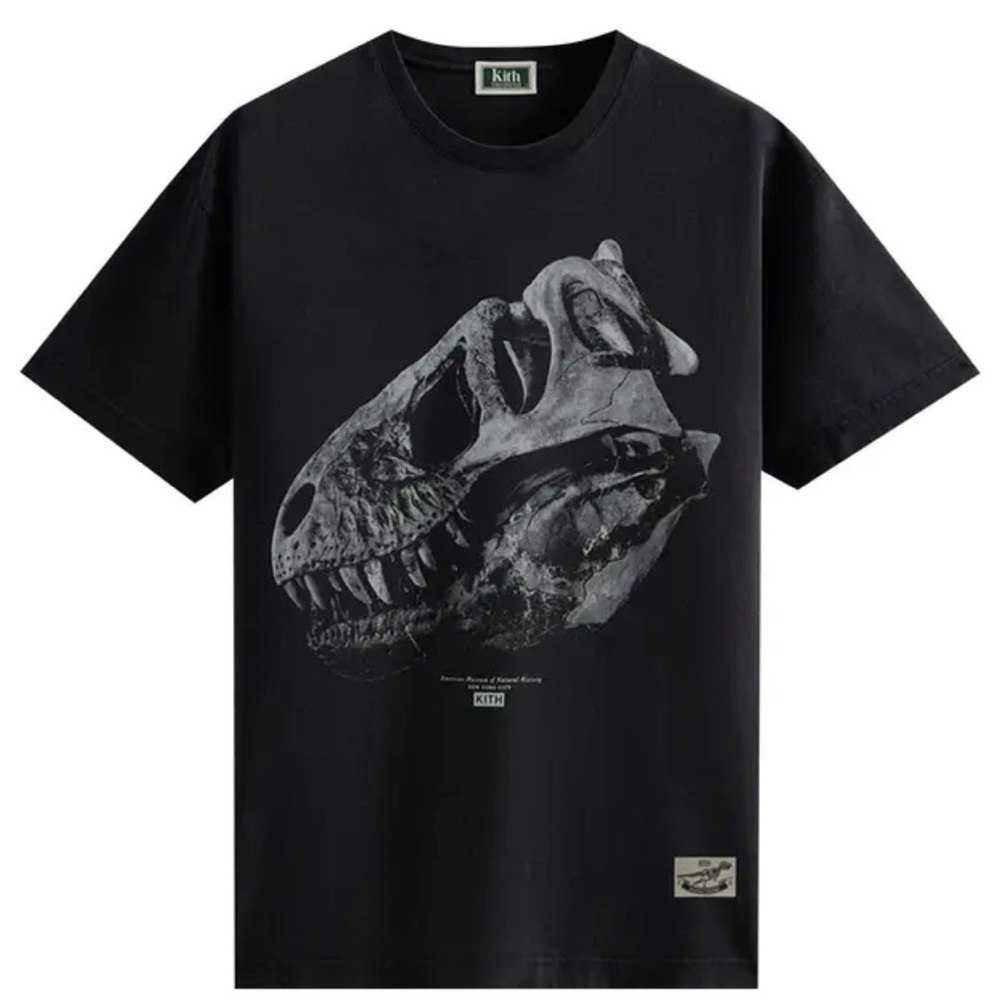 Kith Charcoal Crewneck Tee dinosaur - Picture 1 of 5